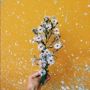 Meet your Posher, Kaleigh